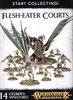 Start Collecting Flesh-Eater Courts